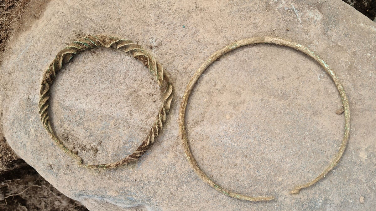 Unique find: 2,500-year-old Bronze Age neck rings found outside Norrköping