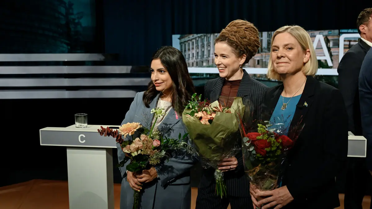 Issues dividing the red-greens in Sweden