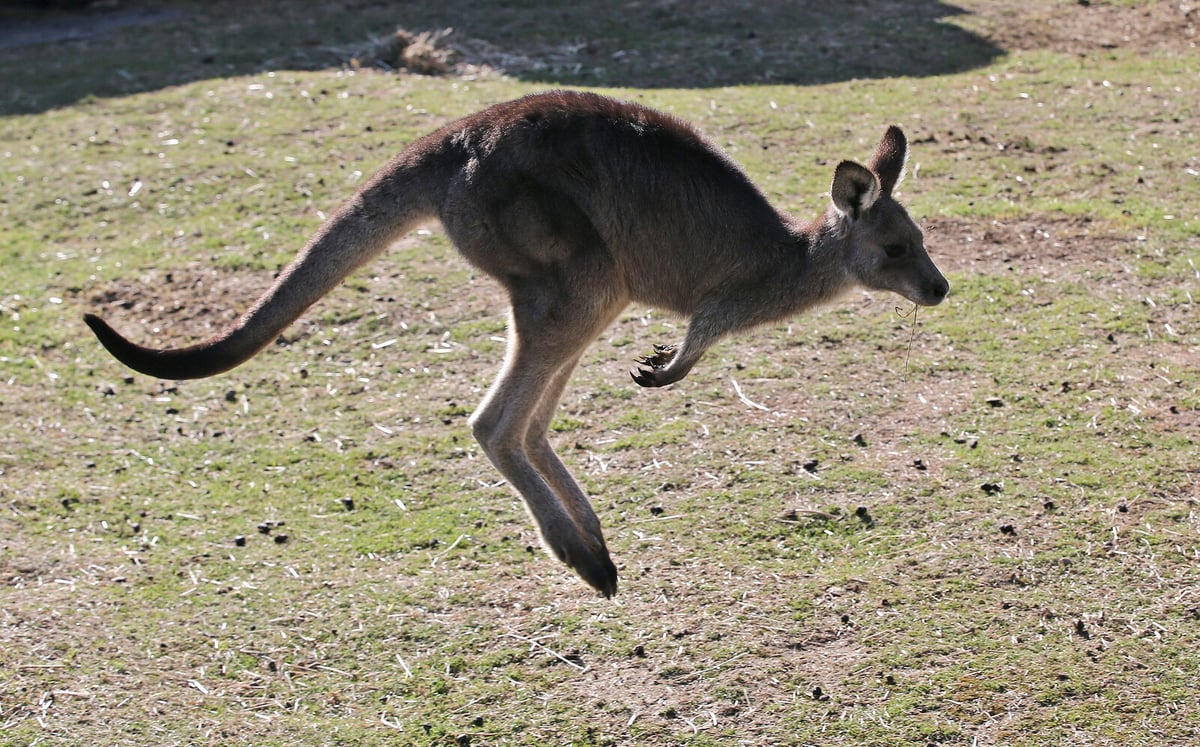 Australia Faces Major Climate Change Impacts Over Next 25 Years