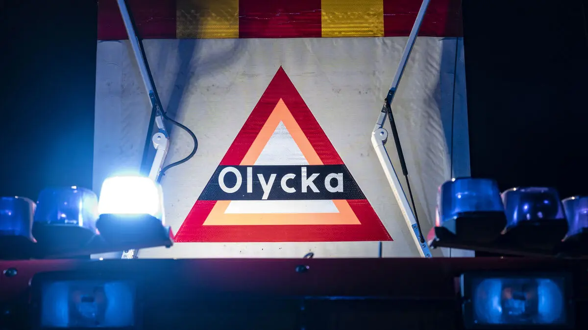 Bus collides with horse on E22 – driver trapped