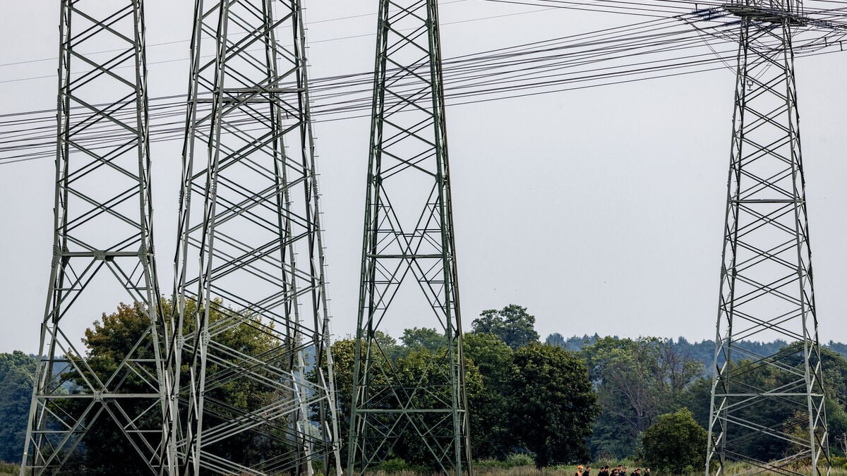 Explosive devices found near two substations in eastern Germany amid suspected sabotage campaign