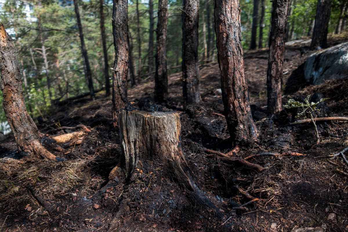 Investigation Launched into Strengthening Landowner Property Rights