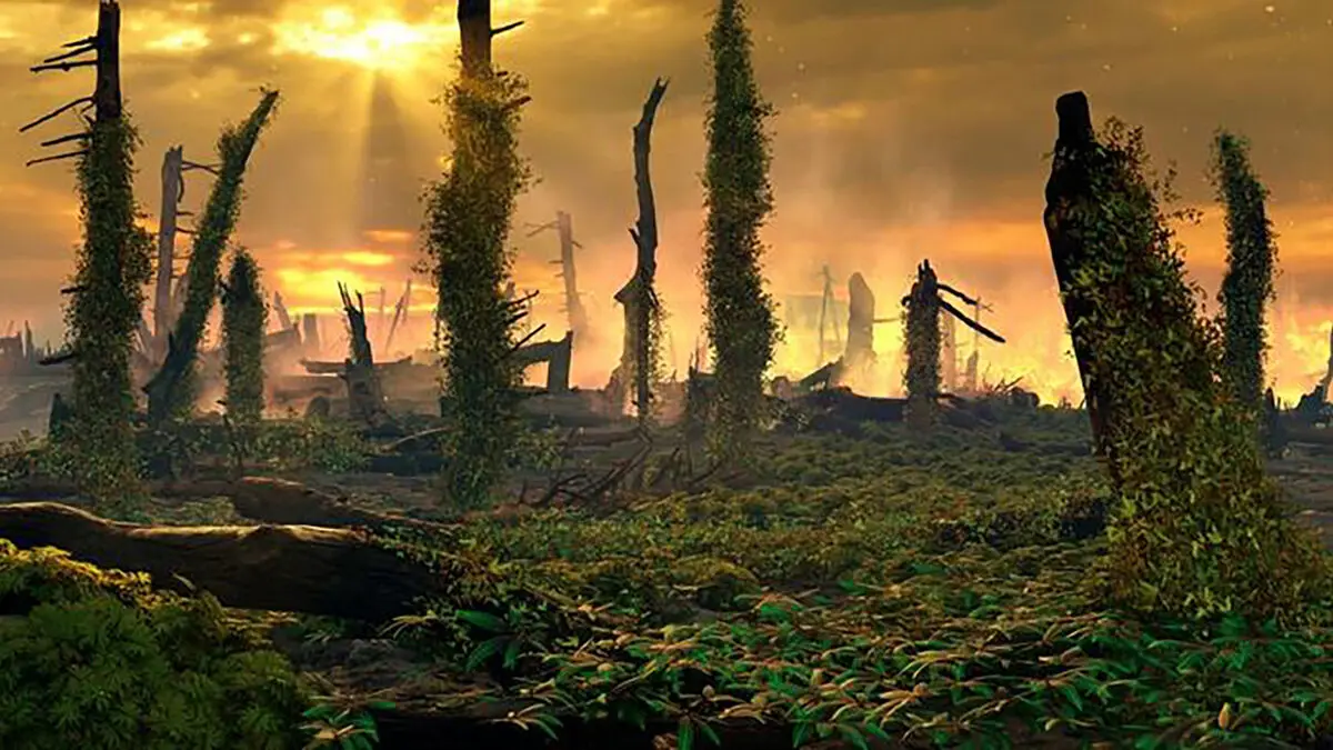 Europe Burned for 30,000 Years as Ferns Replaced Forests, Study Finds
