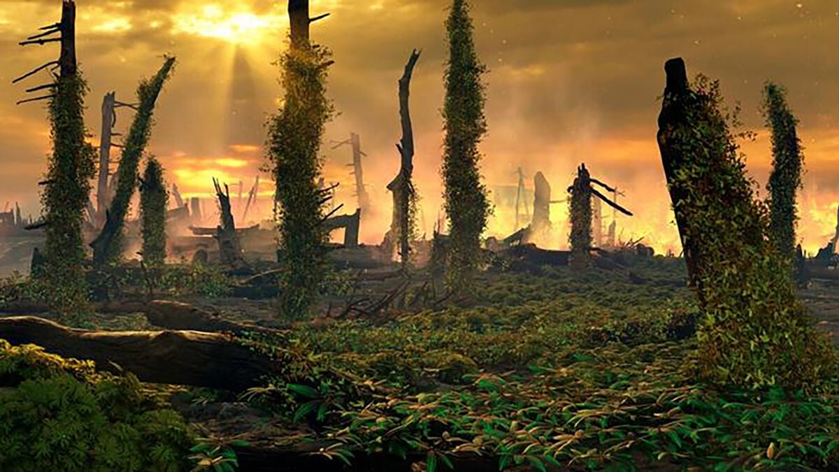 Europe Burned for 30,000 Years as Ferns Replaced Forests, Study Finds