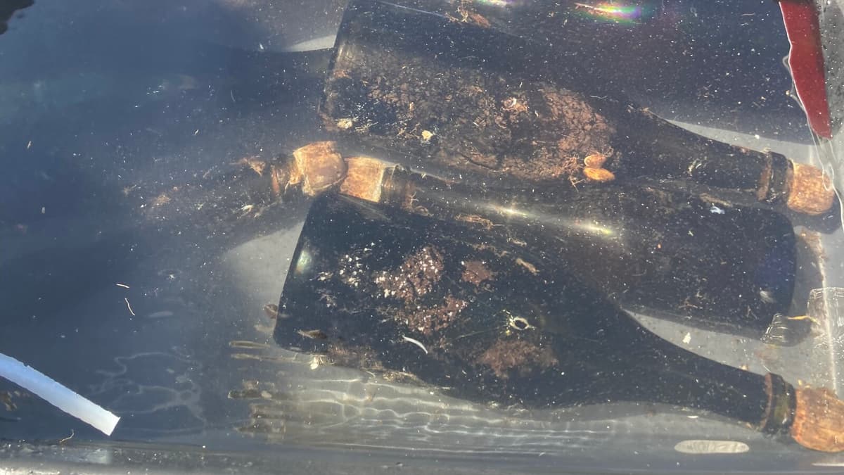 Tsar's 170-Year-Old Champagne Recovered from Seabed Tasted