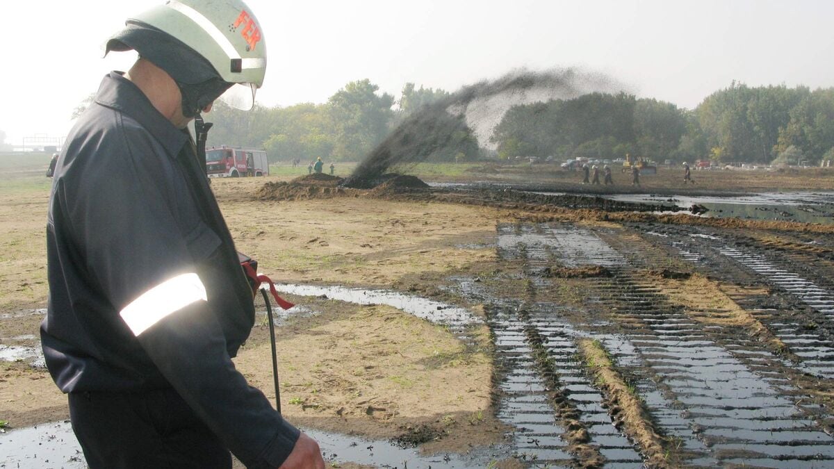 Kyiv informs diplomatic corps about Druzhba pipeline damage