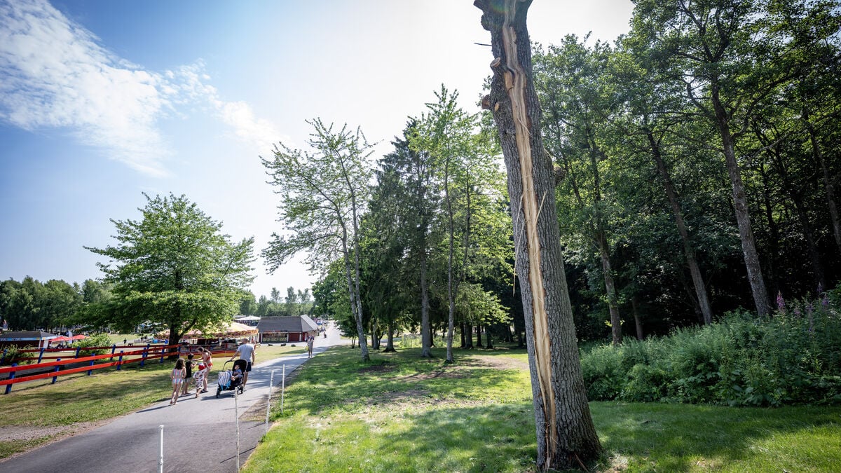 Lightning Strike at Swedish Amusement Park Injures Woman Seriously, Several Taken to Hospital