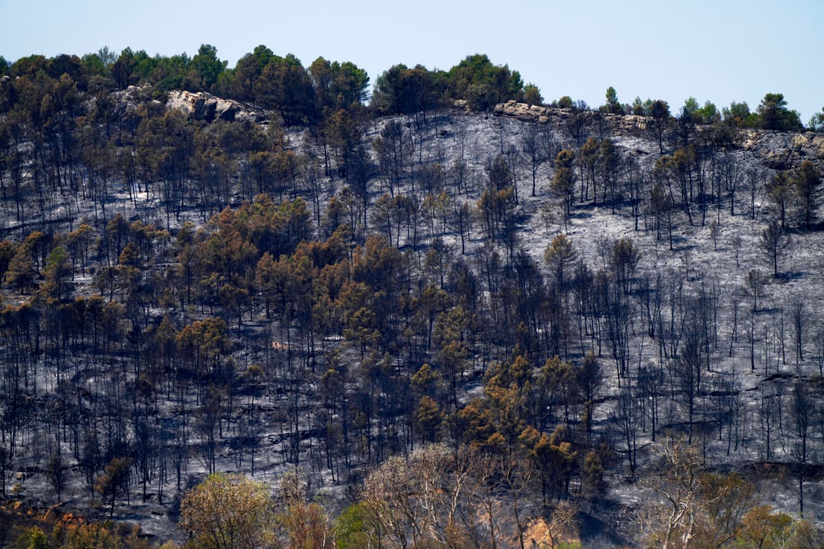 Red Heat Warning Issued Amid Fires in Southern France