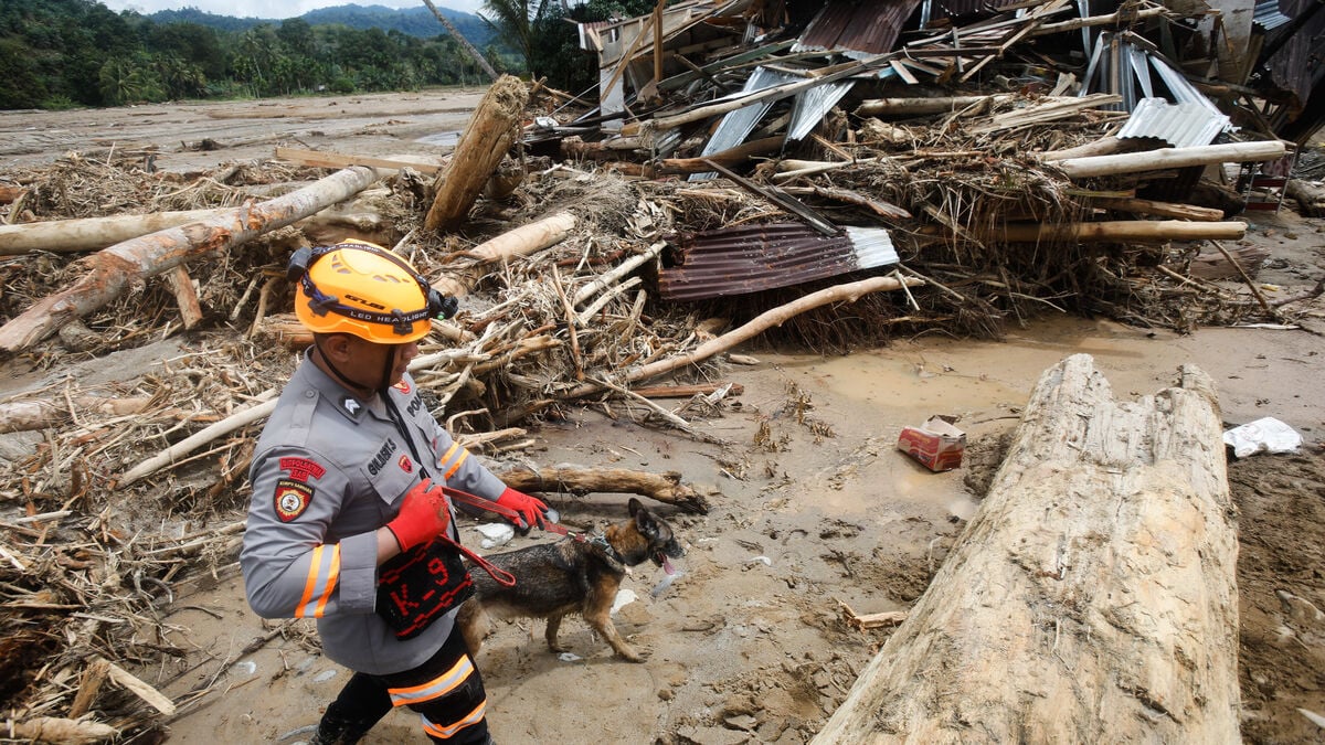 Frustration grows over slow disaster response