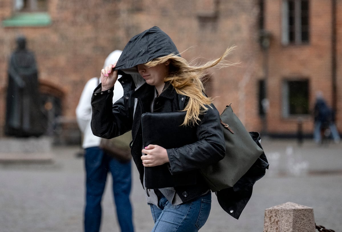 Rain and Wind Expected This Weekend, Clearing Up Next Week