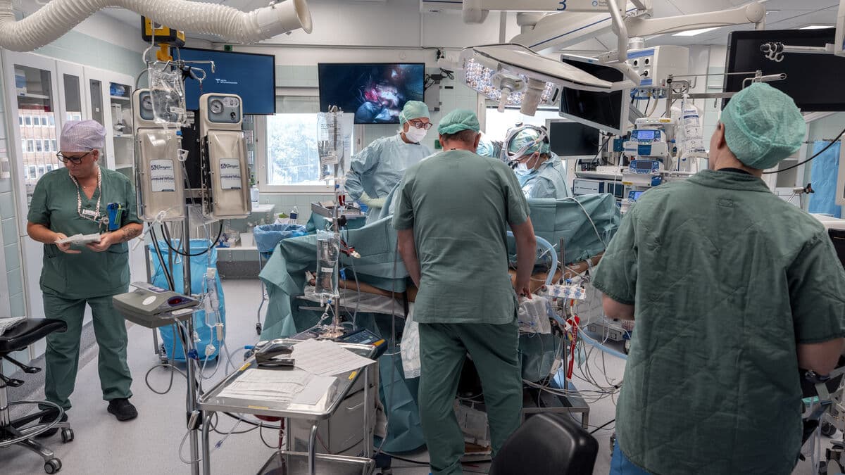 New working method could add 80 organ donors a year in Sweden