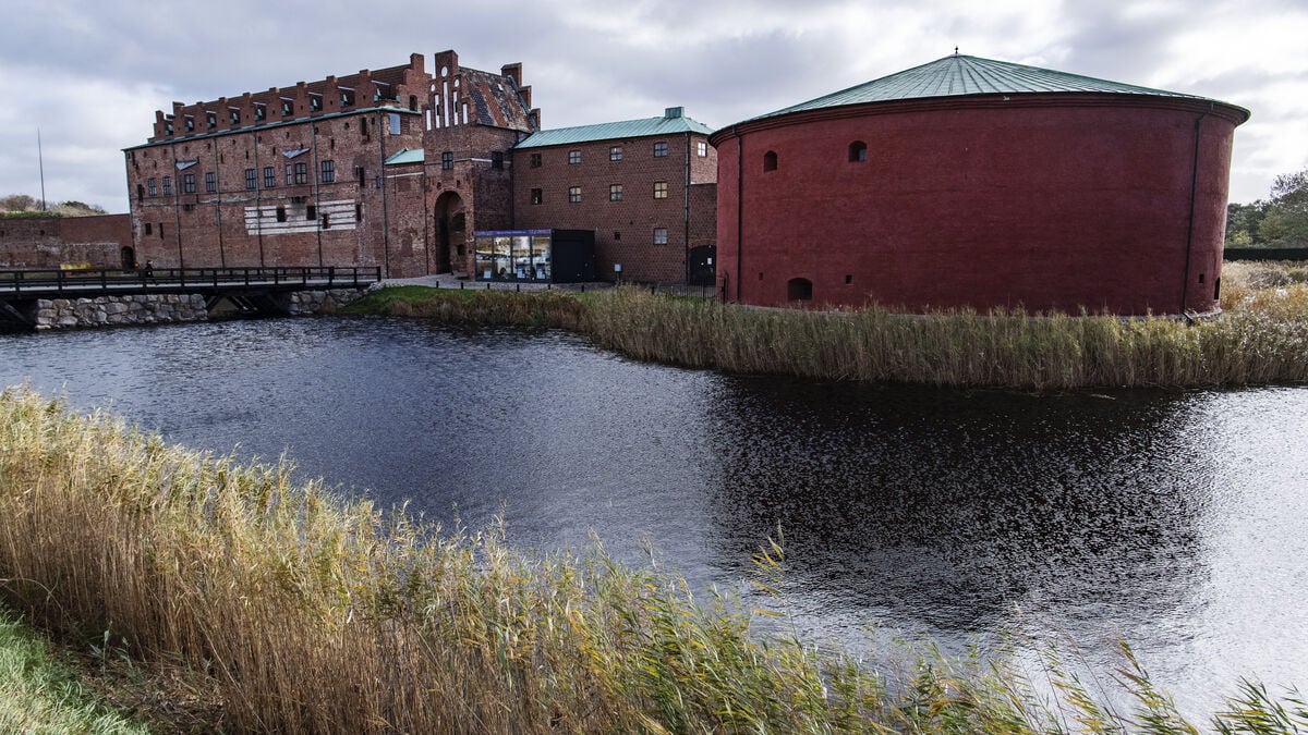 Malmö Museum director leaves after criticism