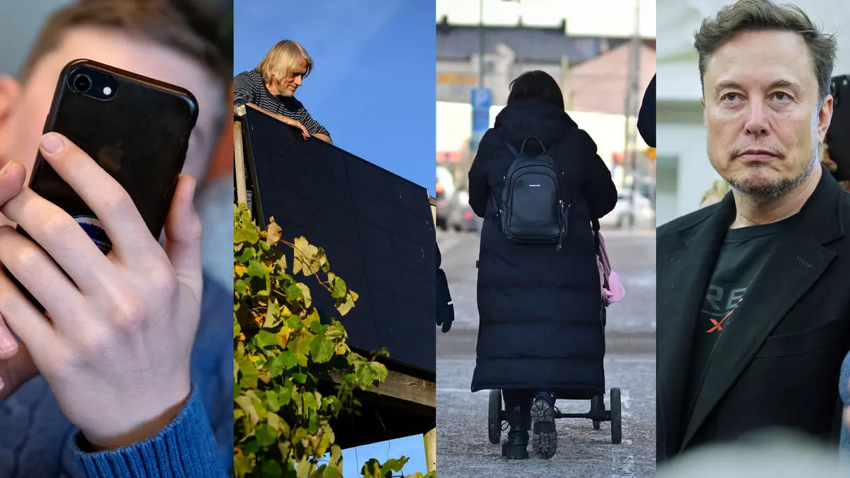 Big politics and a little nonsense - here are the new words of the year