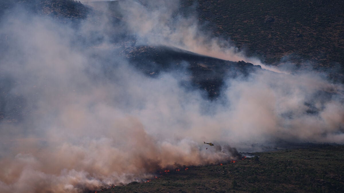 Sweden to send firefighting planes to southern Europe as Spain and France battle wildfires