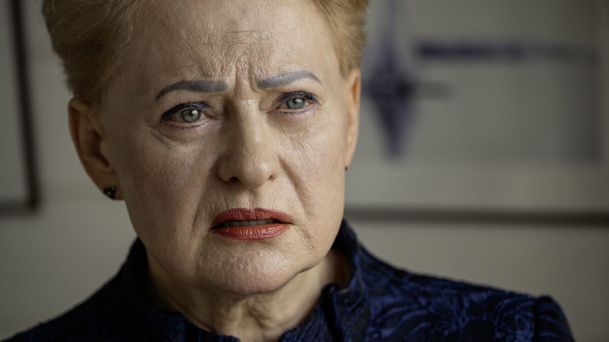 Former Lithuanian President Doubts US Would Send Troops if Russia Escalates Baltic Provocations