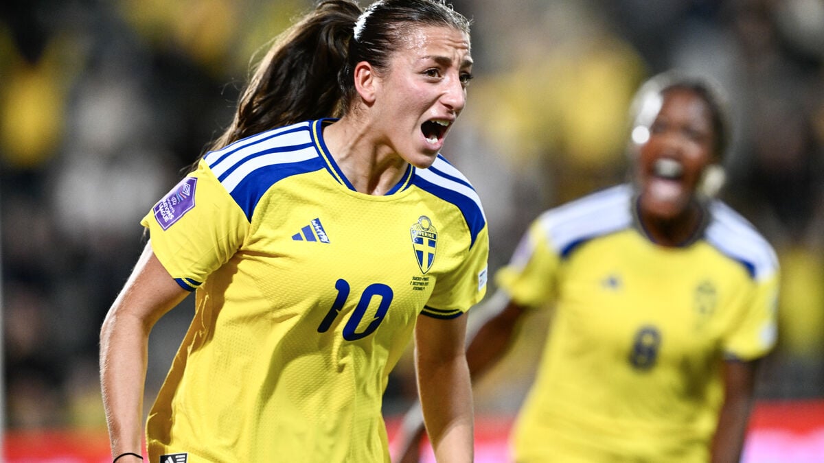 The national team dreams of a home European Championship: "Absolutely magical"