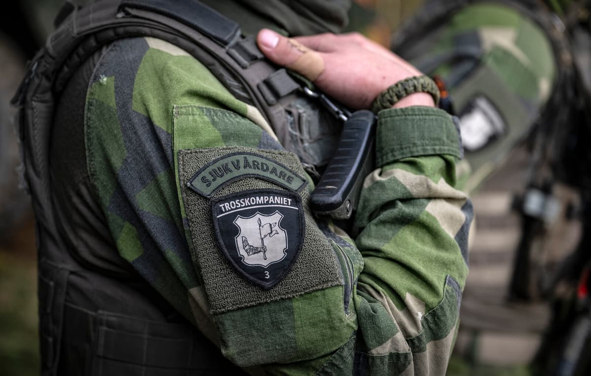 Mother Fined 20,000 Kronor for Photo at Swedish Military Base