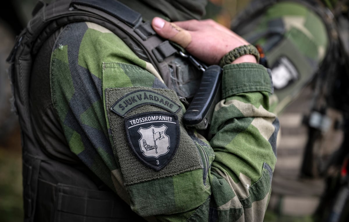 Mother Fined 20,000 Kronor for Photo at Swedish Military Base