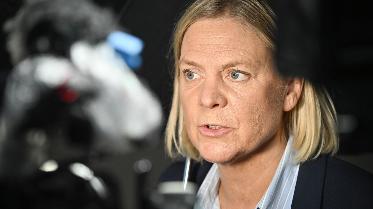 Andersson accuses Kristersson of lying in row over penalty discount for serious crimes