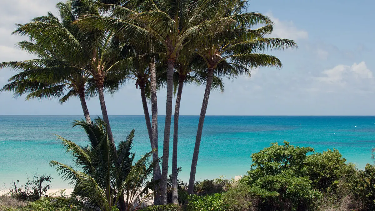 Cruise tourist abandoned on remote island – died