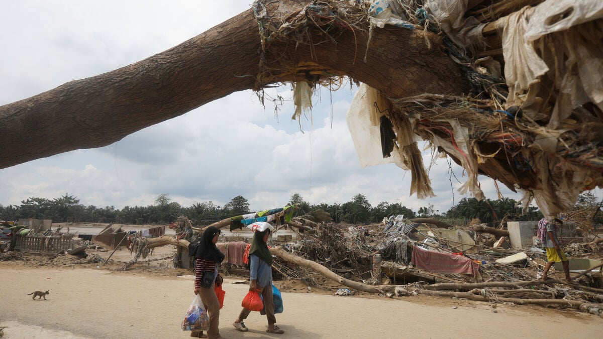 2025 on track to be the second warmest year