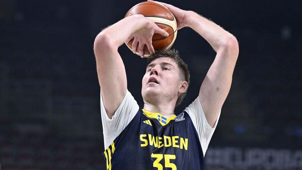 Several stars missing when Sweden qualifies for the World Cup