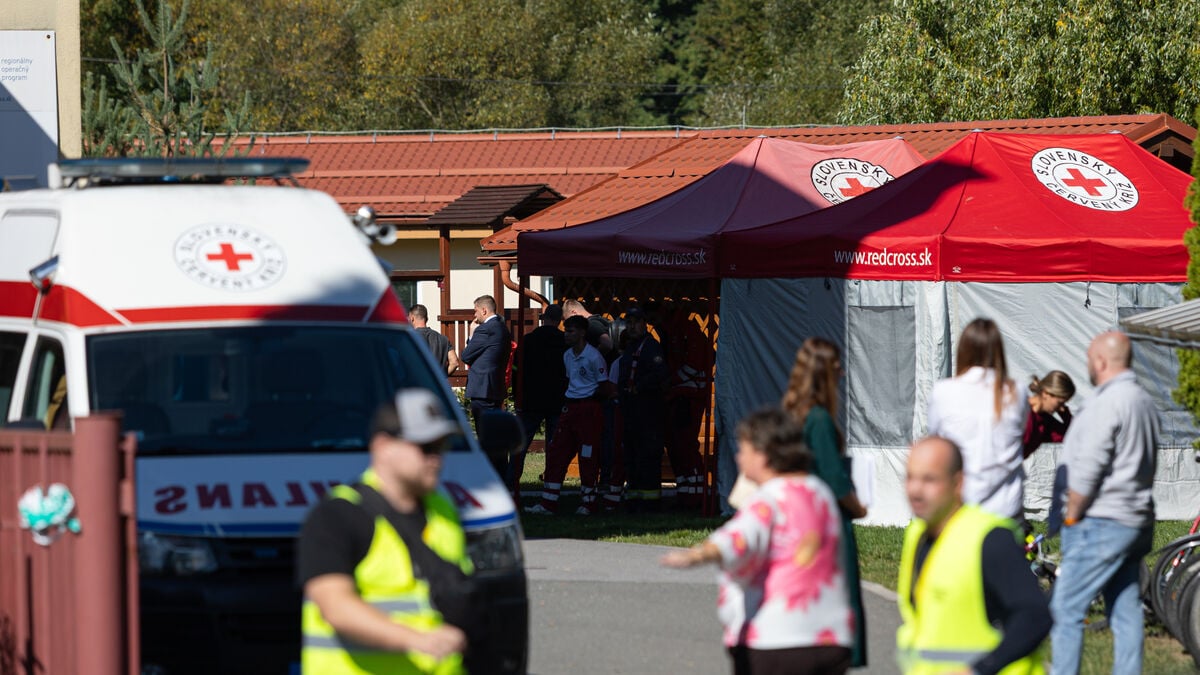 Teacher killed, two injured in school attack in Slovakia