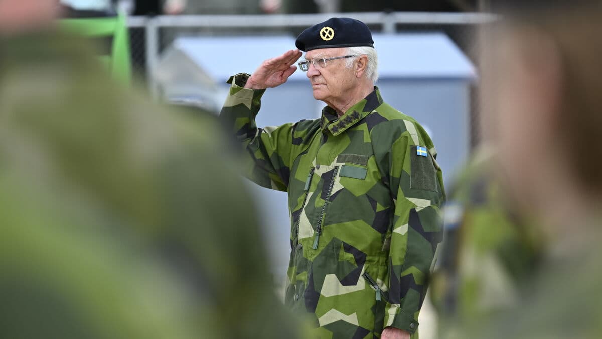 King Carl Gustaf's NATO Visit Delayed by Fog in Belgium