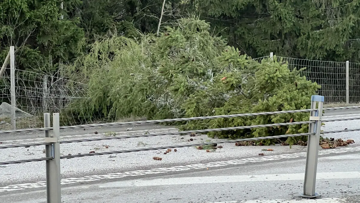 Hesa Fredrik confusion in the storm - alarm sounded despite initial uncertainty