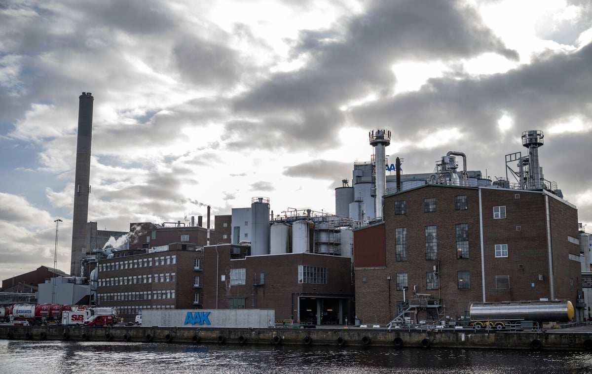 Customs Issues Threaten Swedish Export Growth