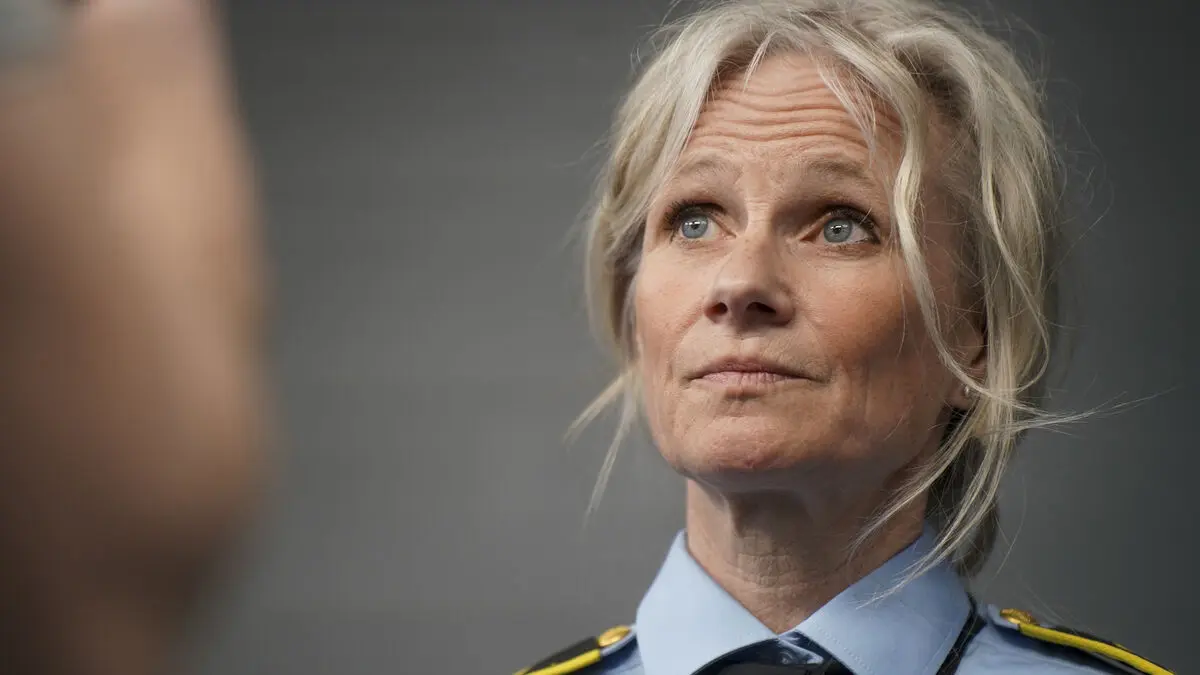 Two Swedish teenagers arrested for