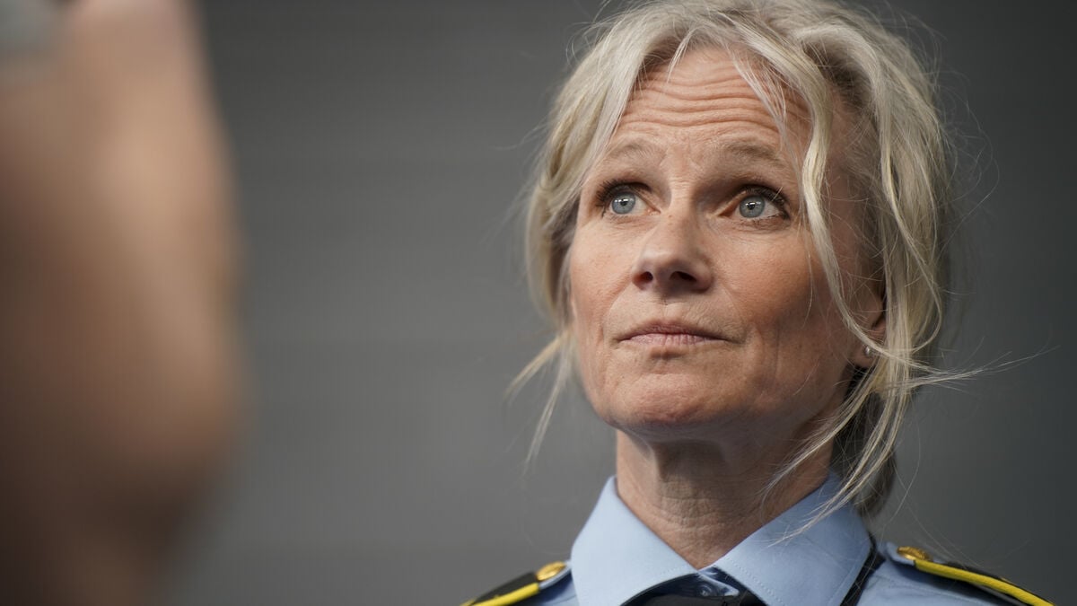 Two Swedish teenagers arrested for murder in Norway