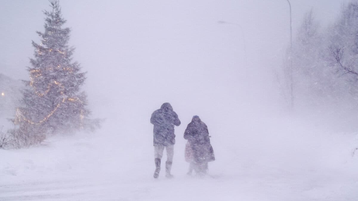 Many still without electricity in Finland after Storm Johannes