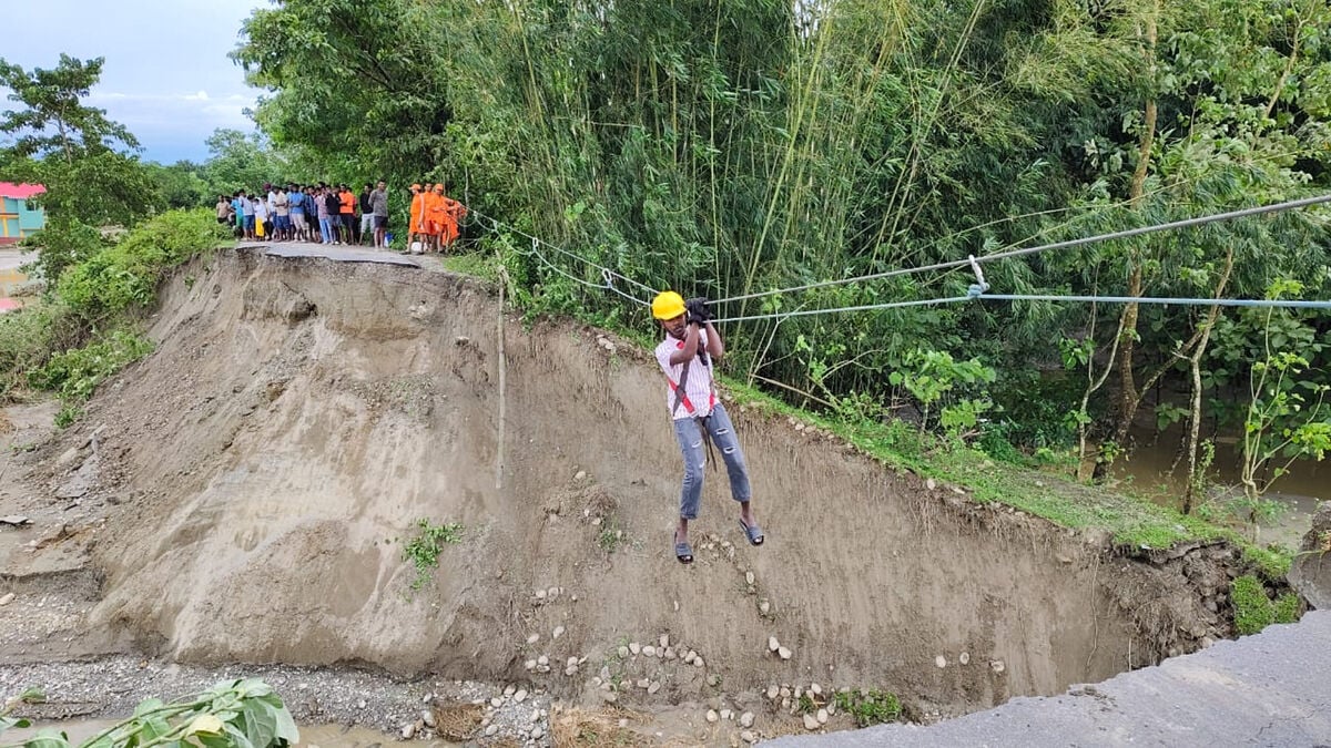 Extreme Weather Devastates Indian Darjeeling Tea Plantations