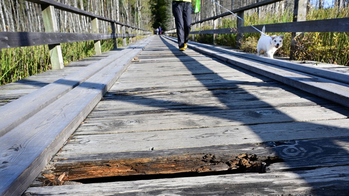 Poorer outdoor life despite millions invested
