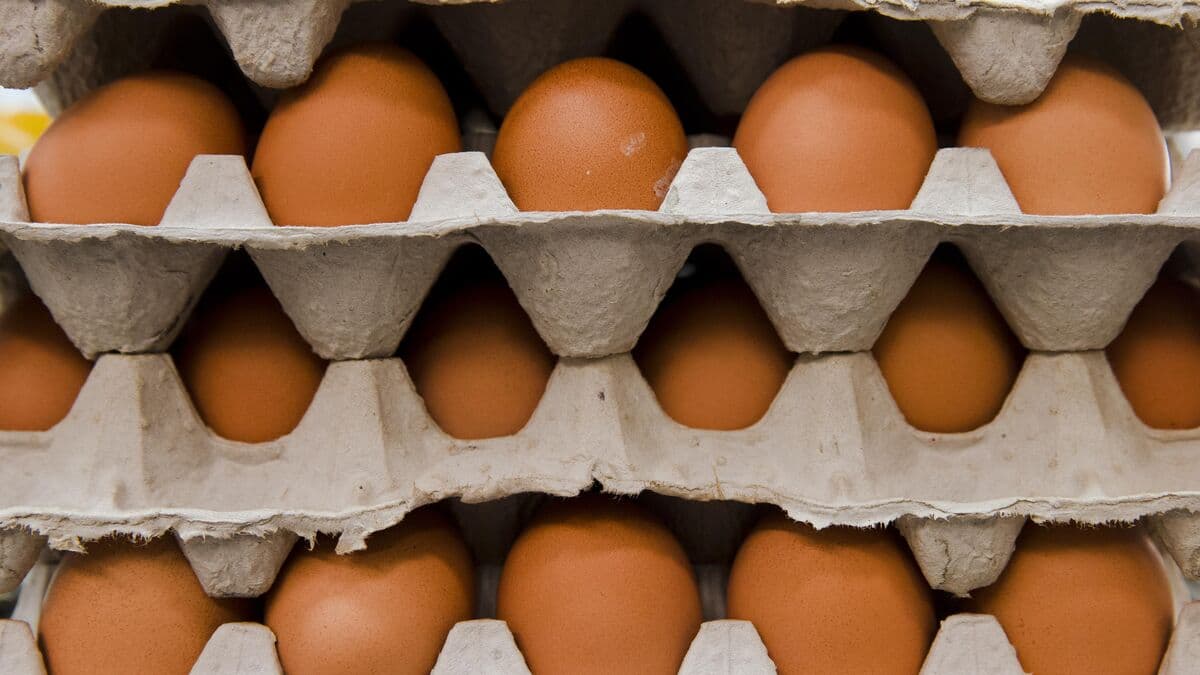Giant tiramisu breaks record with 19,000 eggs