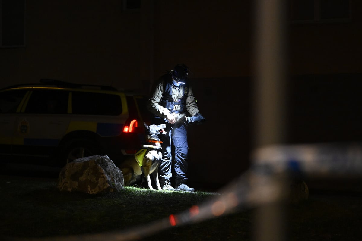 Gang Steals Over 40 Four-Wheelers in Northern Sweden