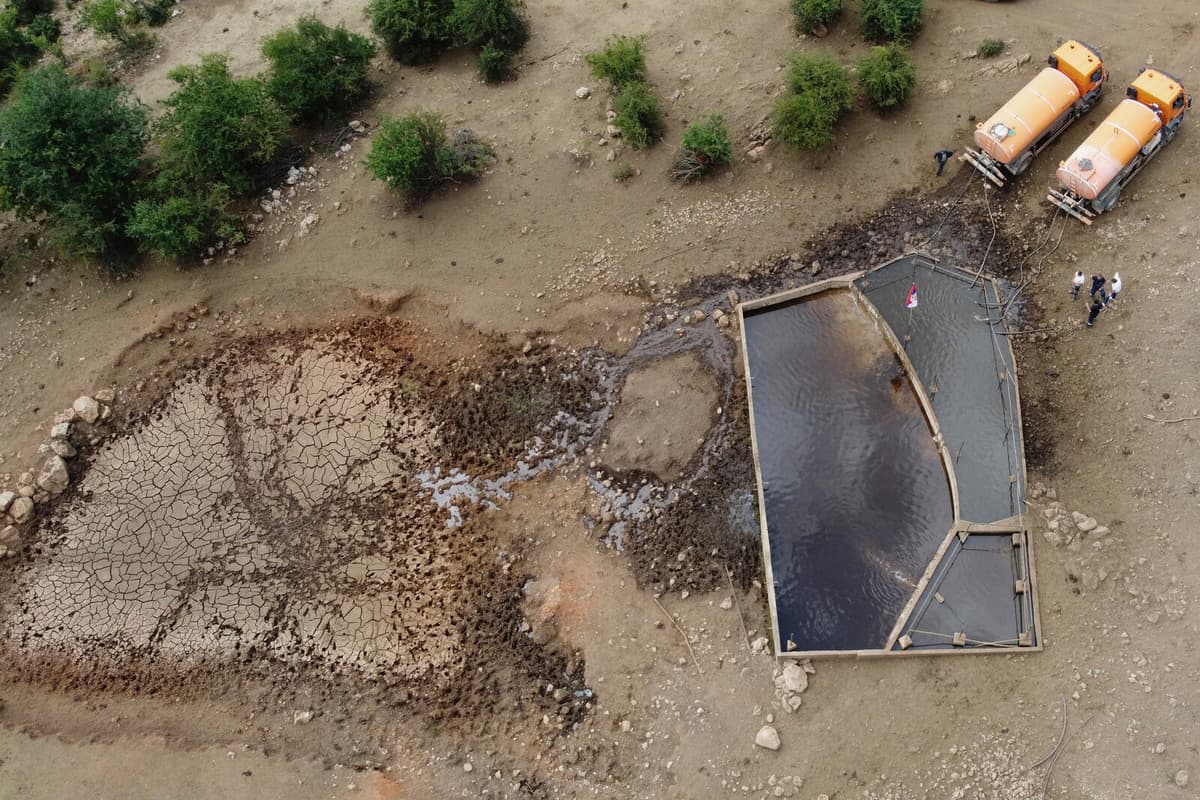 Temporary Water Pools Provide Relief for Cows Amid Serbia's Drought