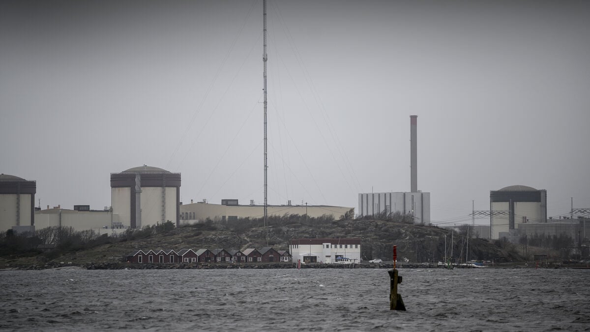 Smoke at Sweden’s Ringhals Nuclear Power Plant After Engine Overheats