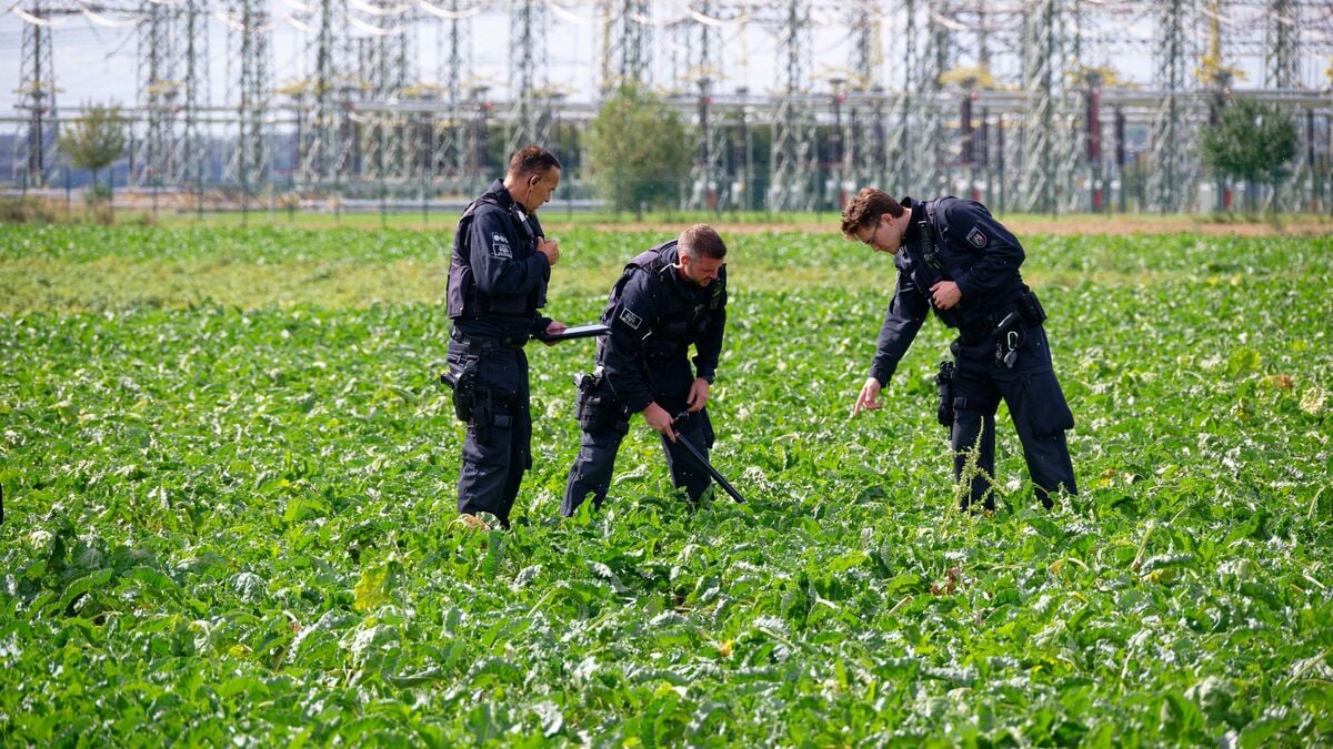 German authorities suspect climate activist behind sabotage attempts on power grid