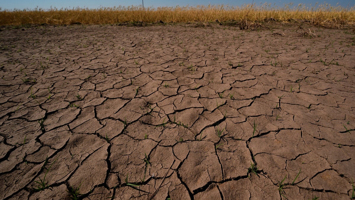 New study finds climate change has made El Niño about 36% stronger