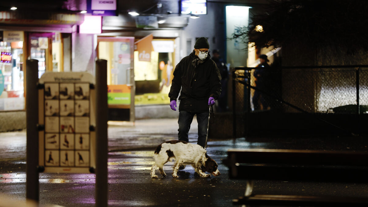 Life for murder and shootout with police