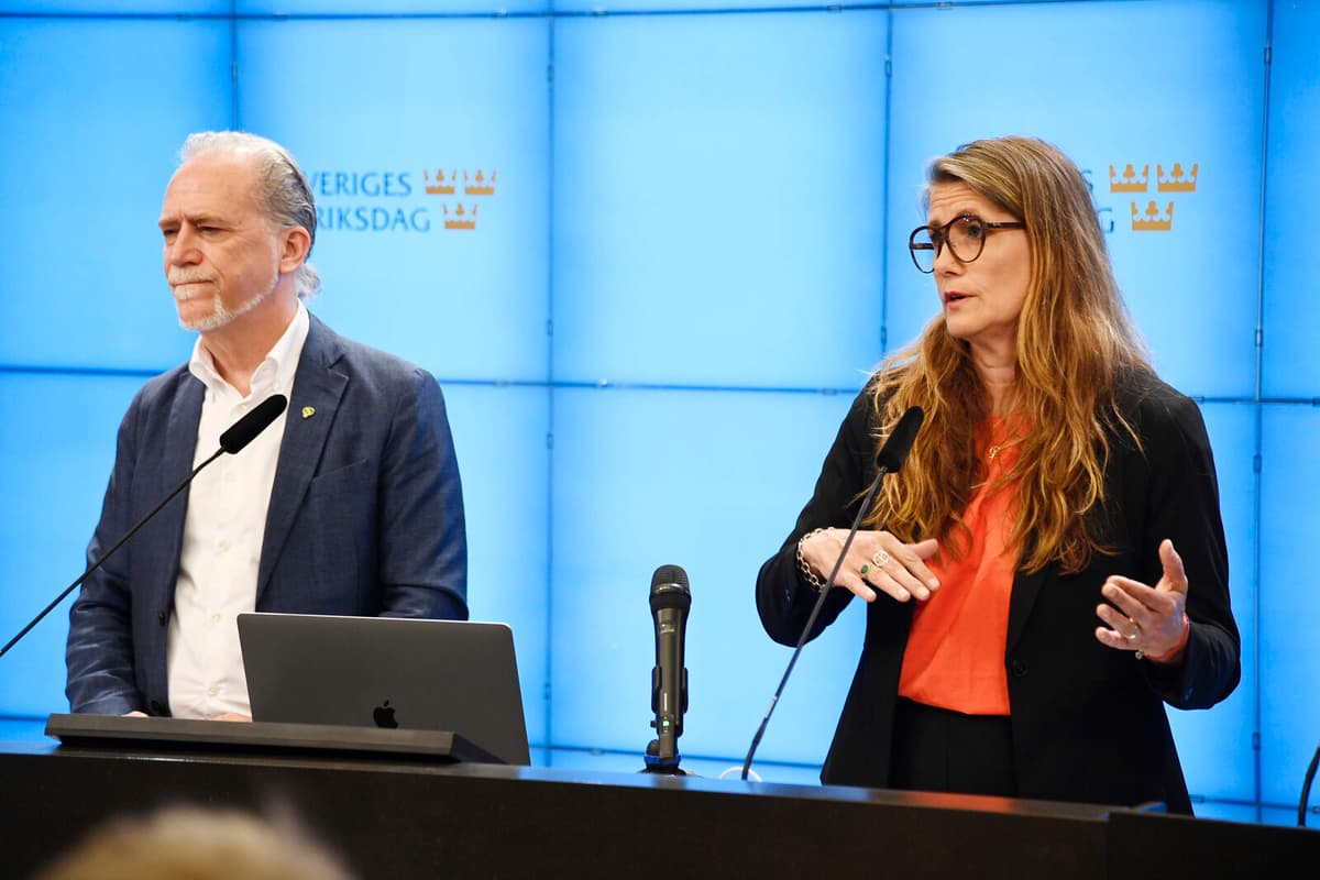 Green Party Proposes New Tax on Private Jet Flights