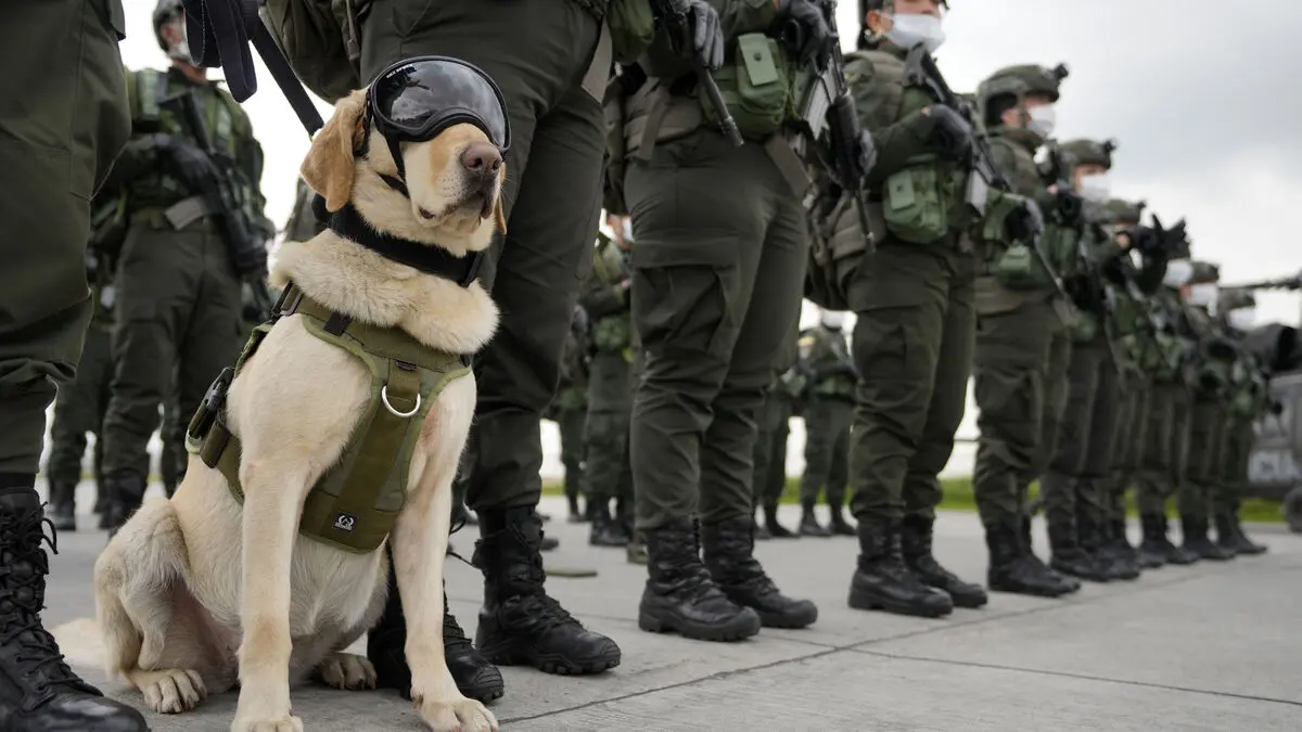 El Sueco identified as a key figure in the cocaine network
