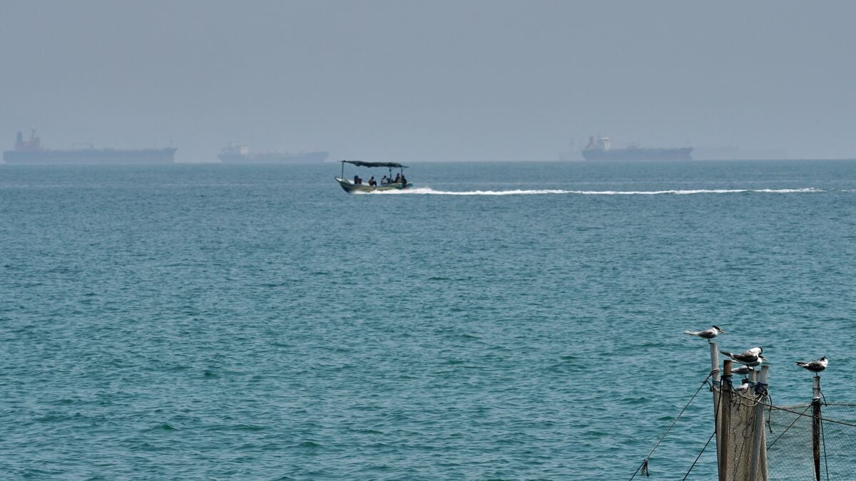 Iranian merchant ship hit by projectile in Strait of Hormuz, one killed and four injured