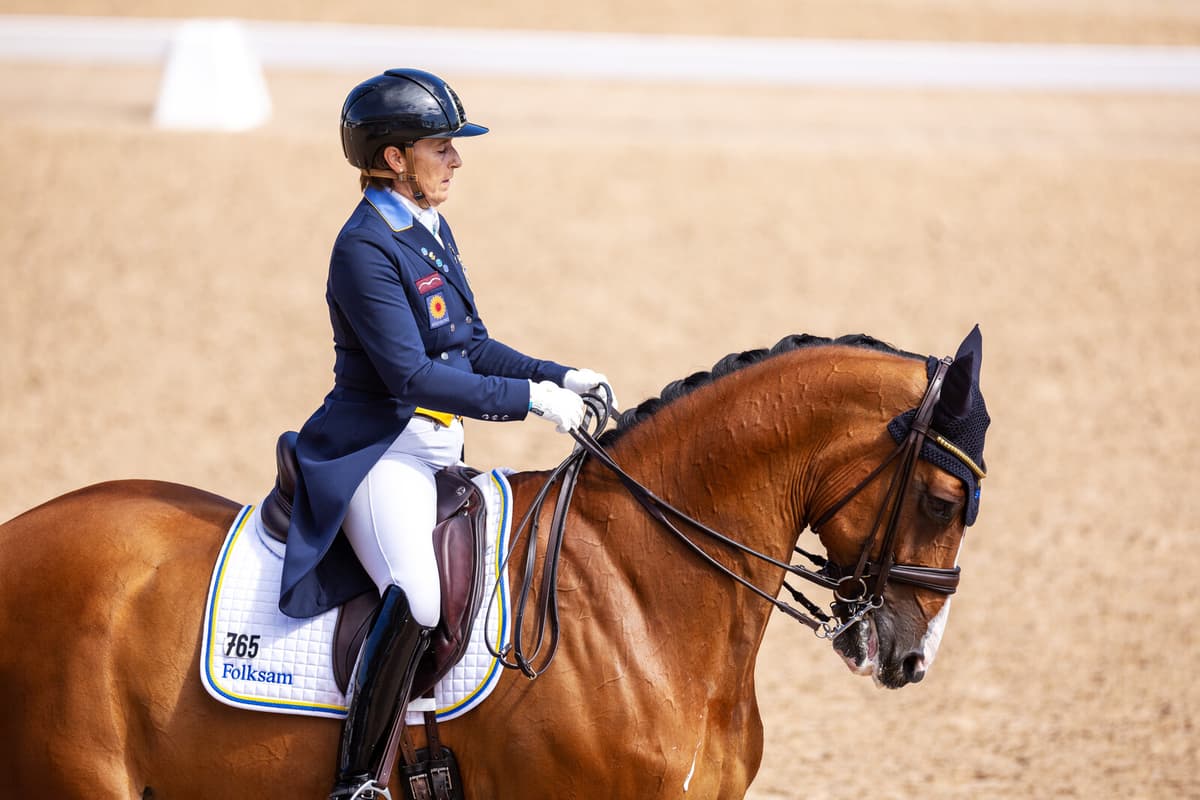 Dressage Veteran Still Going Strong – Third in Florida