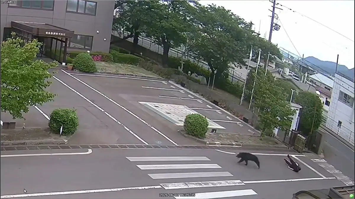 Bear ran amok in Fukushima residential area, injuring four