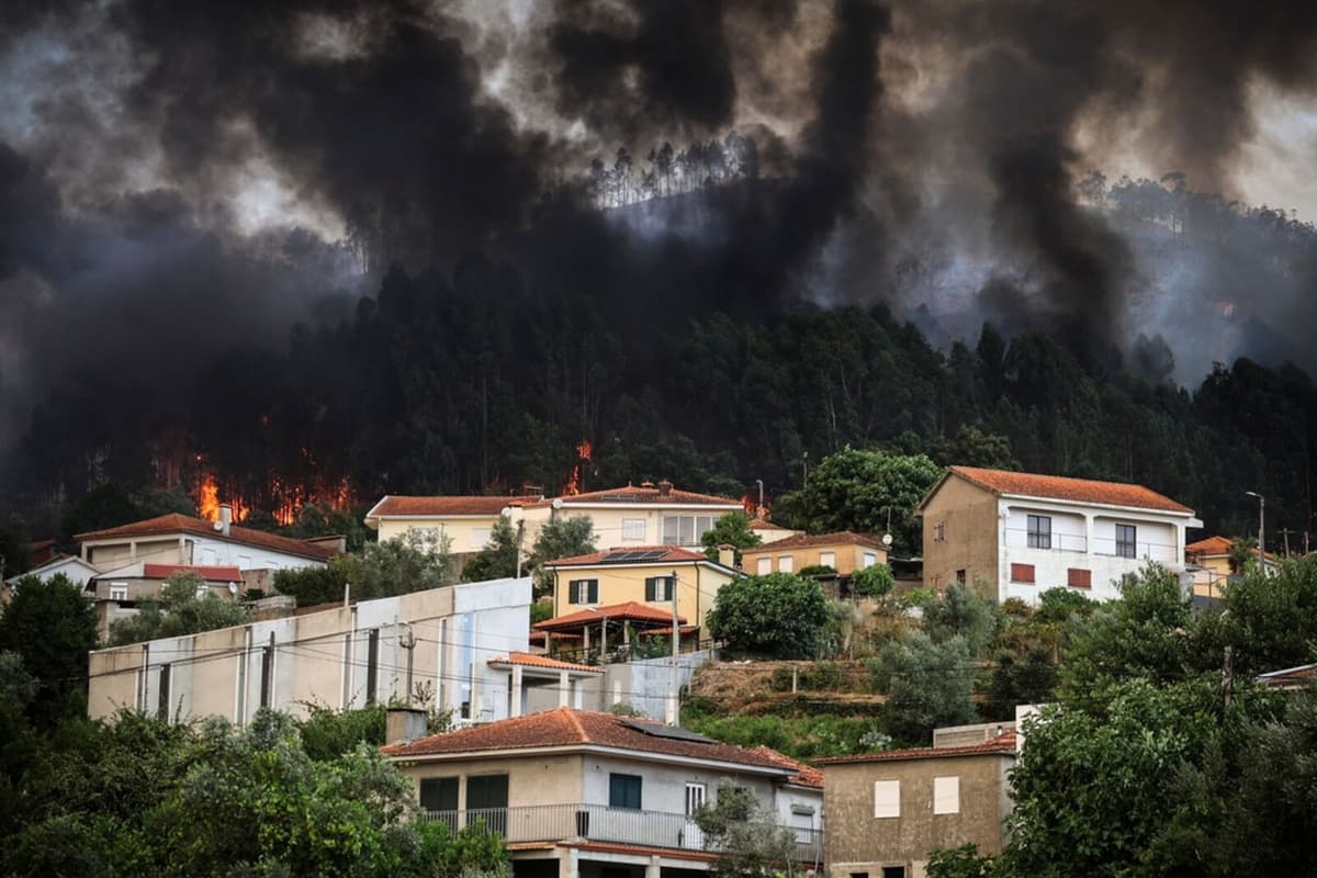 Forest Fires in Portugal: 2000 Firefighters Battle Major Blazes