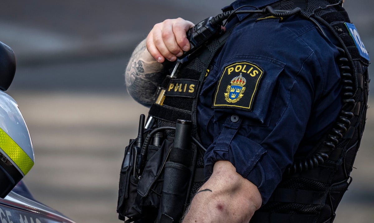 57 Arrested in Major Baltic Sea Operation Seizing Stolen Boats and Cars