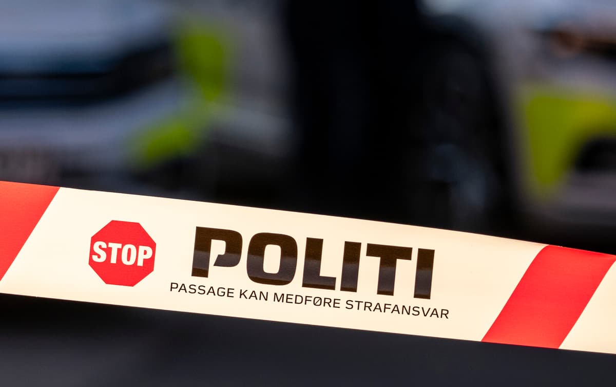 Swedish Teen Extradited for Danish Pizzeria Grenade Attack